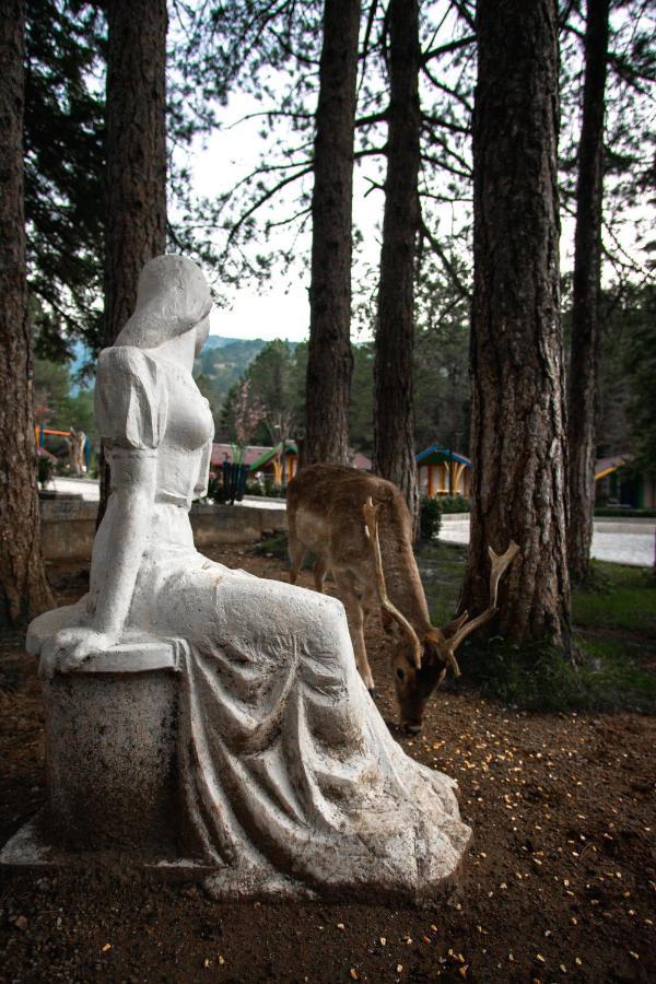 Te'Dreri - Llogora Tourist Village Dhërmi 外观 照片