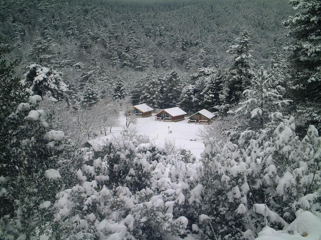 Te'Dreri - Llogora Tourist Village Dhërmi 外观 照片